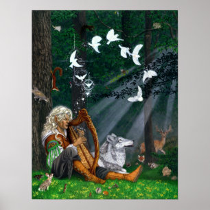 Aves canoras - impressão ou poster