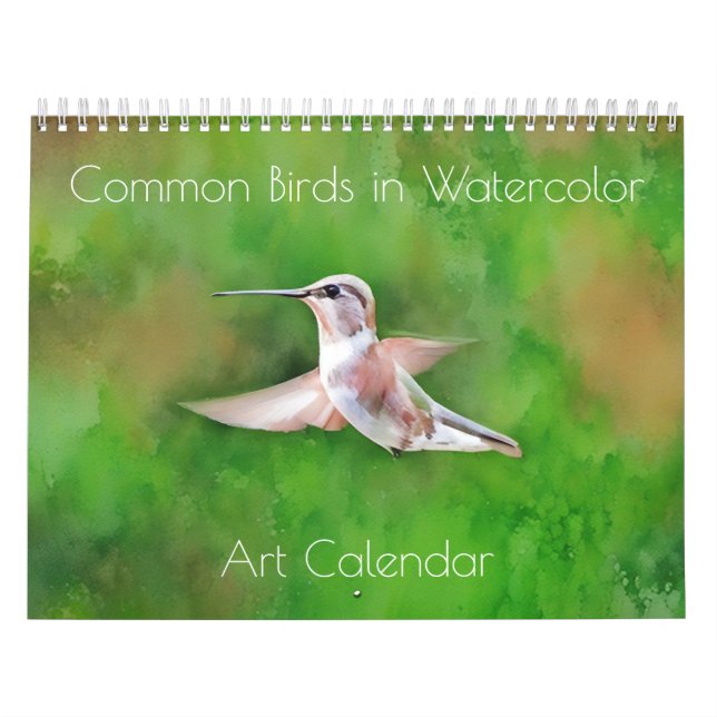 Aves Comuns no Calendário de Arte em Aquarela (Capa)