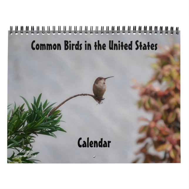 Aves Comuns no Calendário dos Estados Unidos (Capa)