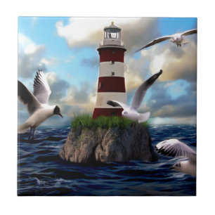Aves de Farol Voando