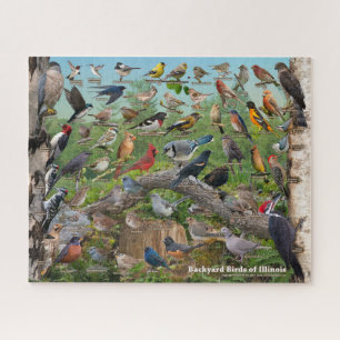 Aves de Illinois Quebra-cabeça