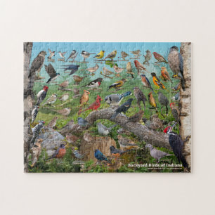 Aves de Indiana Quebra-cabeça