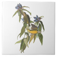 Aves de John James Audubon