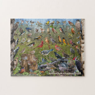 Aves de Ontario Quebra-cabeça