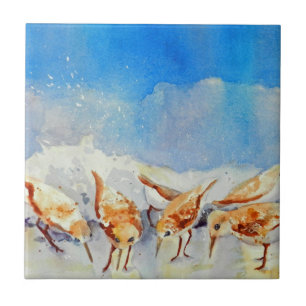Aves de Praia de Aquarela