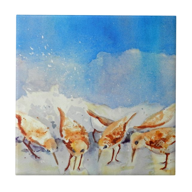 Aves de Praia de Aquarela (Frente)