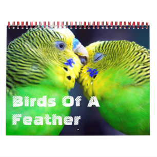 Aves De Um Calendário De Penas
