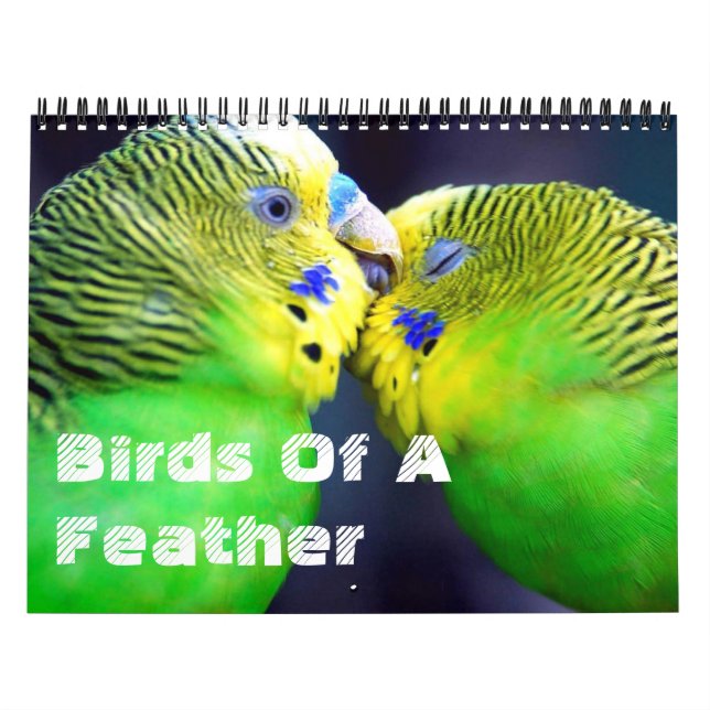 Aves De Um Calendário De Penas (Capa)