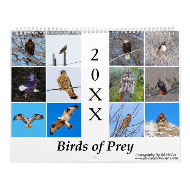 Aves Do Calendário De Presas (Capa)