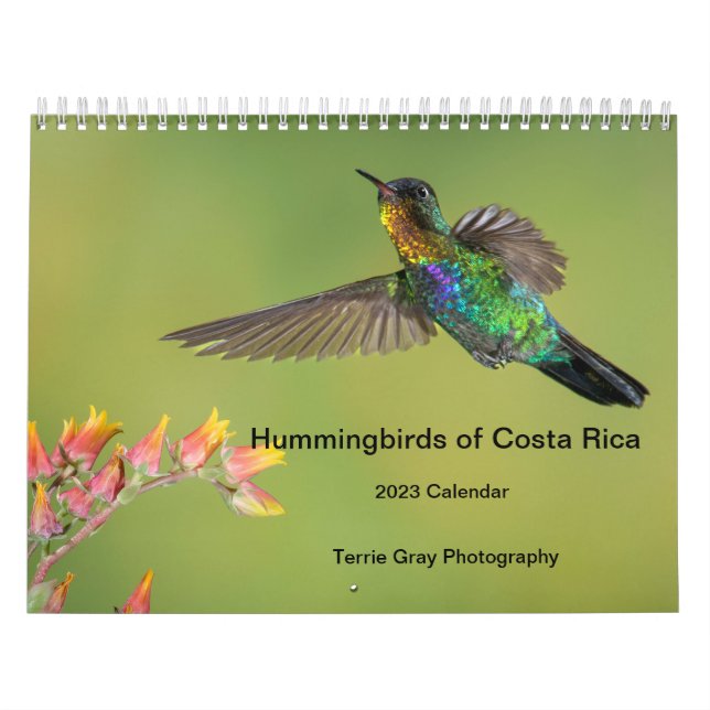 Aves do Câncer da Costa Rica Calendário (Capa)