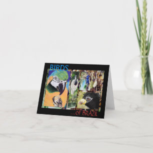 AVES do cartão de nota de arte BRASIL