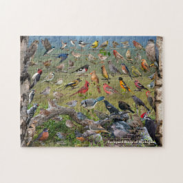 Aves do Quebra-cabeça de Michigan