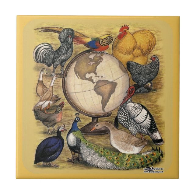 Aves domésticas do mundo (Frente)