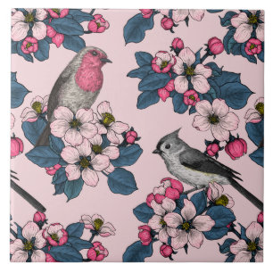 Aves e Blossomas a rosa