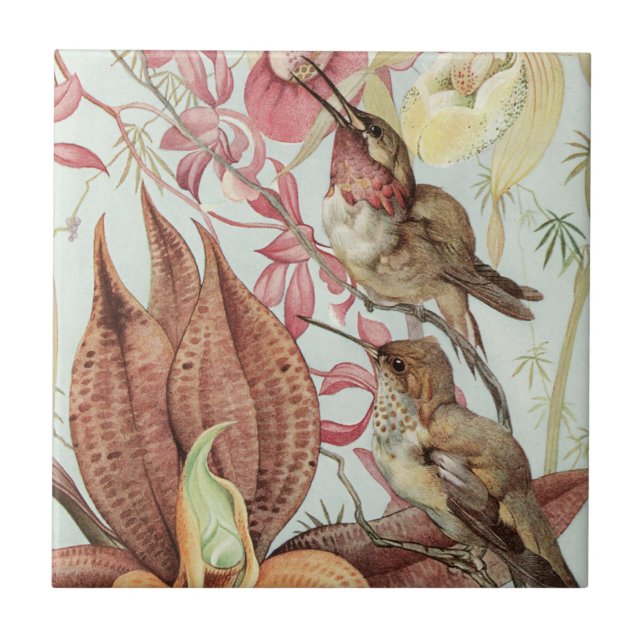 Aves e Flores (Frente)