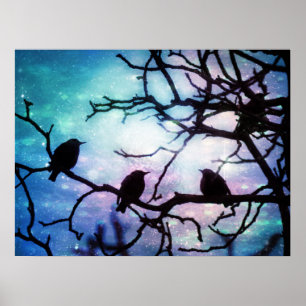 Aves em uma ramificação - Poster de luz de estre