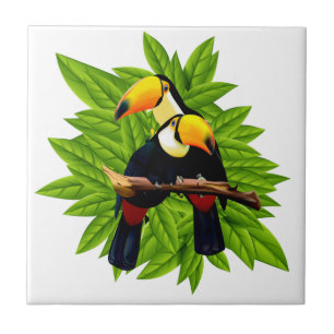 Aves Exóticas
