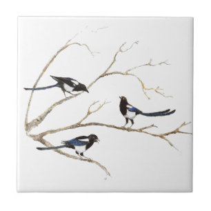 Aves Familiares de Magpie de Aquarela em Árvore