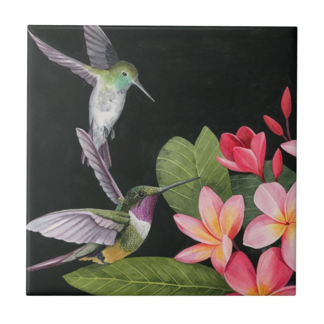 Aves Hummingaves Na Plumeria (Frente)