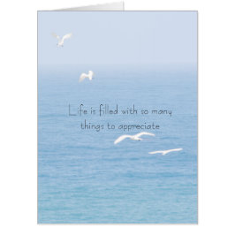 Aves Kauai Voando sobre o Oceano