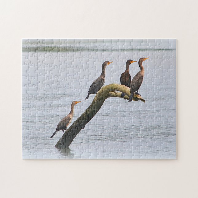 Aves Na Quebra-cabeça De Capucheira (Horizontal)