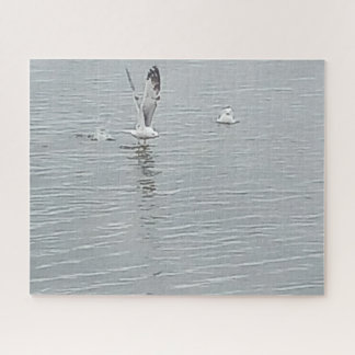 Aves Na Quebra-cabeça Do Vaso De Água