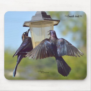 Aves-negros selvagens Mousepad