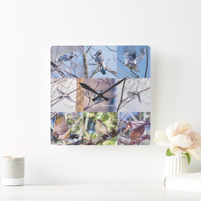 Aves no Relógio de Movimento (Lar)