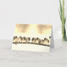 AVES PEQUENAS DE Cartão de Nota Dobrada EM UMA MAR