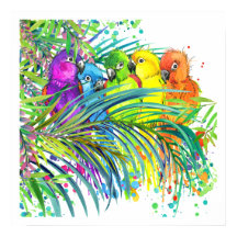 Aves tropicais Poster