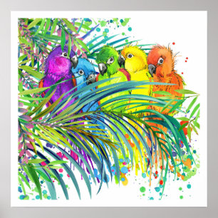 Aves tropicais Poster