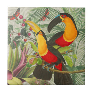 Aves Tropicais Vibrantes Turianos Arte Selva Exóti