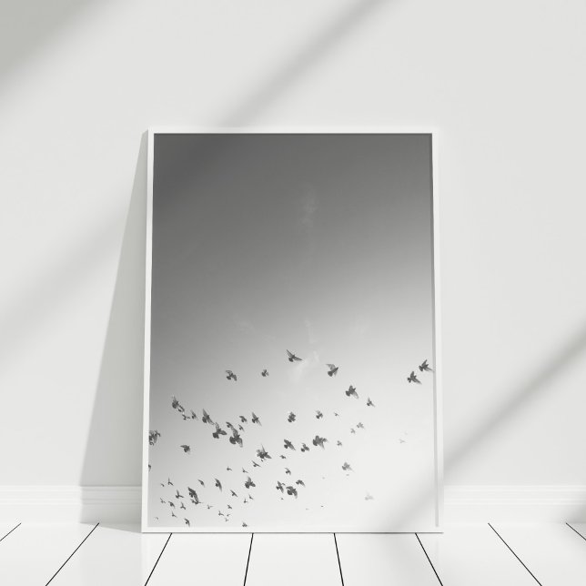 Aves voadoras Poster Impressão (Black and White Flying Birds Poster Print in a white frame.)
