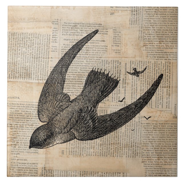 Aves Voadoras Vintage Bird Art (Frente)