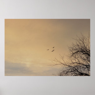 Aves voando na Sunset Poster