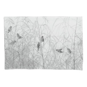 Aves Weaver