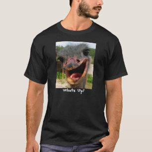 Avestruz o que é acima da camisa do texto