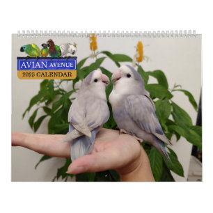 Avian Avenue 2025 Calendário do Papagaio