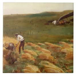 Avião Acidentado (por John Singer Sargent)