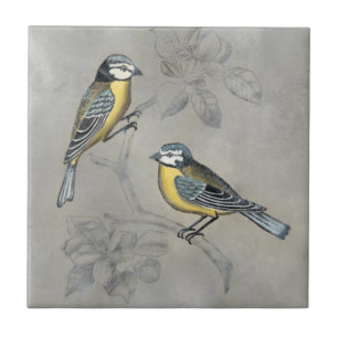 Aviário Silvered Casal de aves