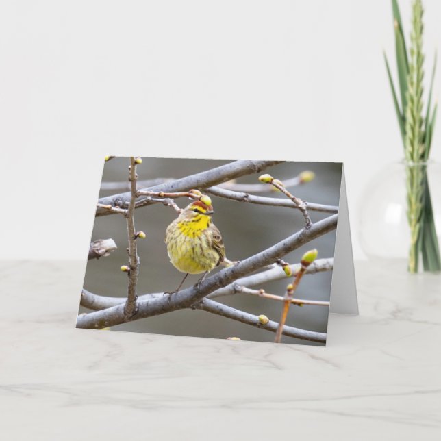 Avisador de Cartão de Saudação de vazio (Frente)