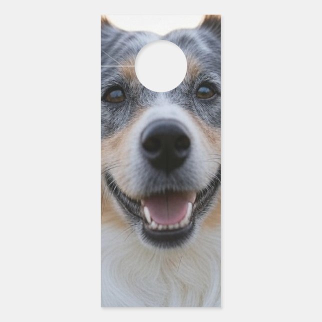 Aviso De Porta Adicionar Foto Pet Personalizar (Frente)