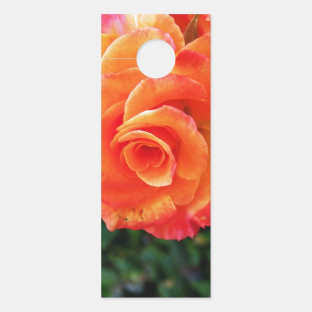 Aviso De Porta Flor de rosa laranja (Frente)