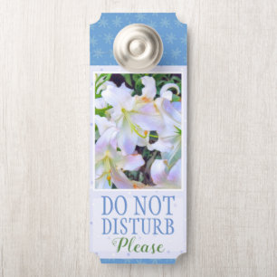 Aviso De Porta Lilium ‘Casa Blanca’ ド ア ノ ブ サ イ
