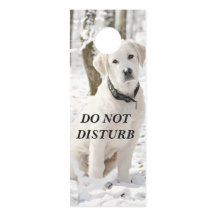 Lindos Pirenéus Brancos