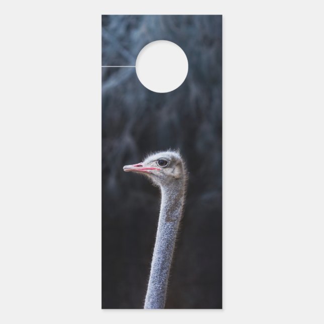 Aviso De Porta retrato de avestruz (Frente)