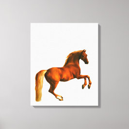 Avô do Godolphin Arabian Canvas Print