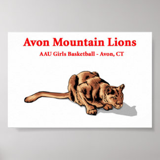 Avon Mountain Lions - Basketball Club Poster