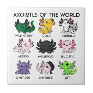 Axolotes Kawaii do Mundo