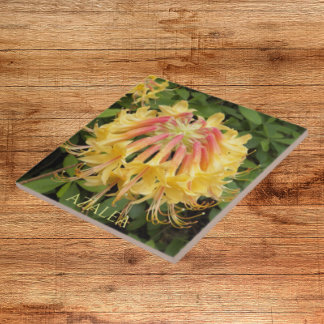 Azalea Blooms Floral Amarelo